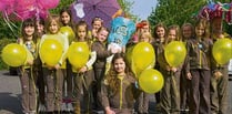 Brownies celebrate group's centenary