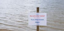 Toxic algae closes Frensham Great Pond