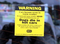 Heat warning for dogs in cars