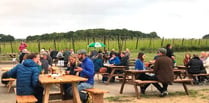 Hogs Back Brewery opens pub garden after successful trial run