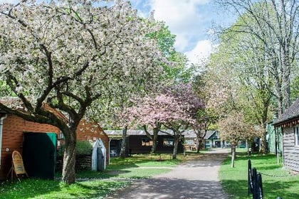 Tilford museum to host Surrey Hills Spring Festival this weekend