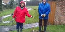 Generous donation of memorial tree means vandals don’t get the last word