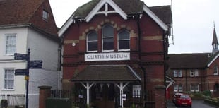 Chance to volunteer at museum or gallery