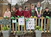 Rowledge Busy Bees get Royal Horticultural Society grant