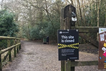 Alice Holt Forest closed to visitors because of high winds