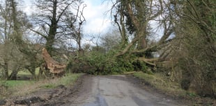 Surrey and Hampshire surveys the damage left behind by Storm Eunice