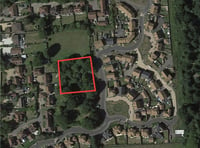 House builder bids to chop down ‘only vestige of greenery’ in Medstead