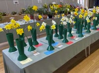 Daffodils abound at Ropley Horticultural Society spring show