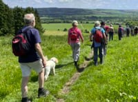 Organisers believe Alton Walking Festival has reached next level