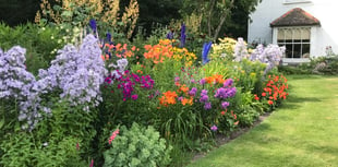 Binsted Place to open garden gates this September in aid of church