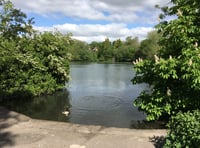 Chance for public to have their say on Kings Pond