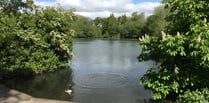 Chance for public to have their say on Kings Pond