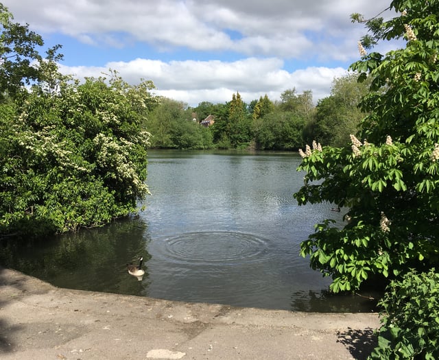 Chance for public to have their say on Kings Pond