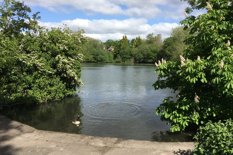 Kings Pond in Alton.