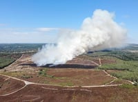 Bonfires not barbecues to blame for wildfire epidemic, says fire chief