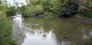 Kings Pond in Alton will not be debated before September