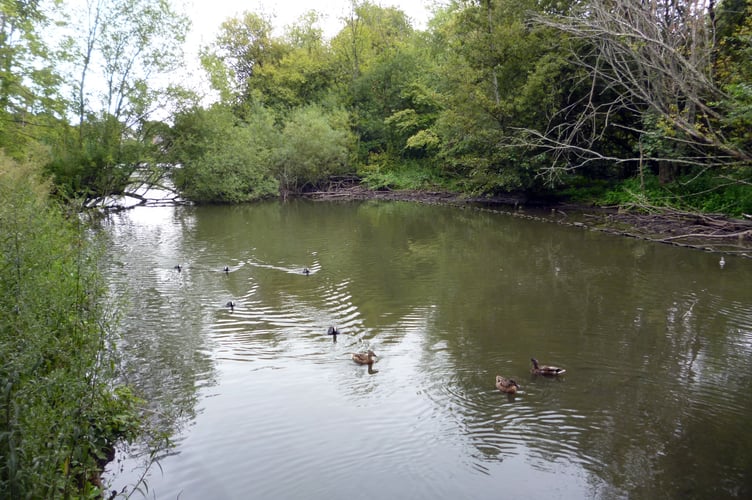 Kings Pond, Alton, August 23rd 2022.