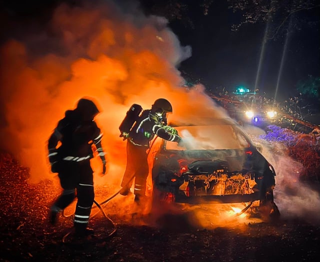 Bordon firefighters put out car blaze