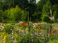 Call for gardeners to open up for Phyllis Tuckwell's Open Gardens