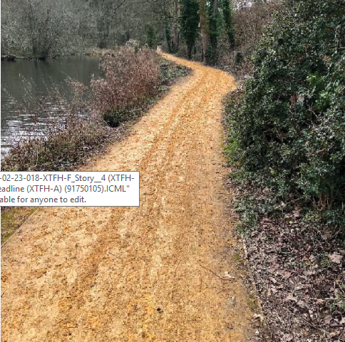 What a slippery mess this path at Kings Pond, Alton, has become...