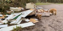 Meon Valley fly-tip is 'the worst I've ever seen', says dog walker