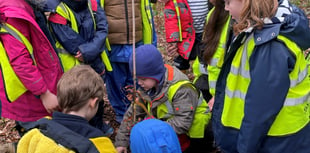 Children at St John's CE Infant School in Churt tackle climate crisis 