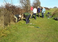 Two new hedgerows planted by Alton Climate Action Network volunteers