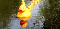 Farnham Duck Race to return at Gostrey Meadow next weekend