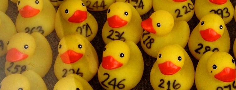 Farnham's legendary Racing Ducks are ready to return in Gostrey Meadow this Saturday