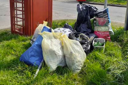 Litter pickers clear up in Langrish and Ramsdean