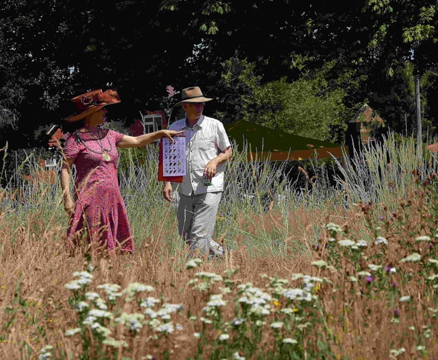 Haslemere's orchards are blossoming – but how are our butterflies?