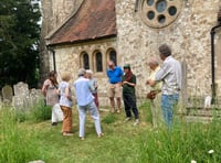 Busy bees: Hampshire county and environmental group help pollinators