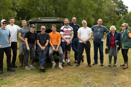 Volunteers help protect Lynchmere common from invasive bracken