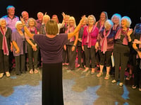 Perfect harmony from Phoenix Community Choir in Bordon summer show