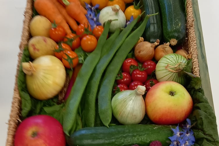 Fruit basket