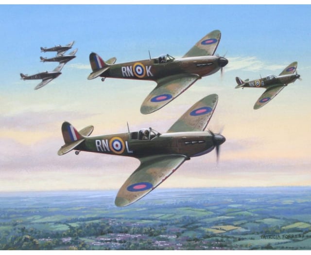 Remembering 'The Few' at Petersfield Battle of Britain service