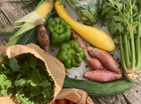 Weather can’t stop the chemical-free growing at Farnham Community Farm