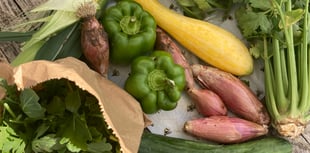 Weather can’t stop the chemical-free growing at Farnham Community Farm