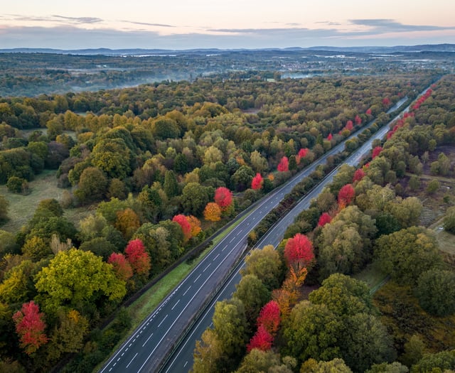 Stunning photos of A3's autumnal memorial to 418 Canadian war heroes