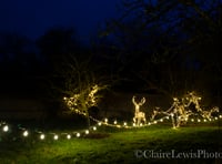 Twinkling festive fun awaits at Chawton House this Christmas