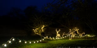 Twinkling festive fun awaits at Chawton House this Christmas