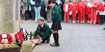 Royal British Legion thank you as Petersfield Poppy Appeal raised £30k