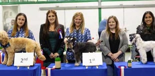 Petersfield dog groomers Bentley’s wins big at competition