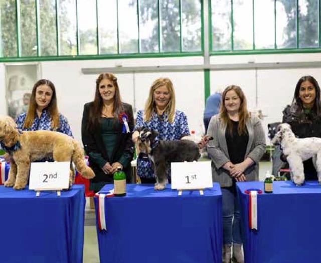 Petersfield dog groomers Bentley’s wins big at competition