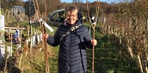 And a purchase of a pear tree: Petersfield group's fruit tree offer