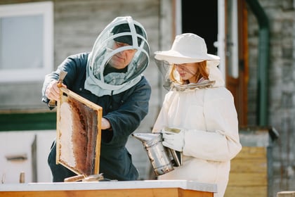 A real buzz: Introduction to beekeeping course at community centre