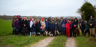 Save Neatham Down campaigners highlight its beauty on nature walk 