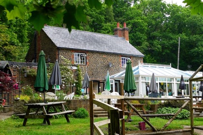 Donkey pub in Elstead ‘did not have a long-term future’ says brewery