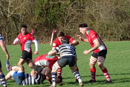 Seventeen matches without defeat as Petersfield rugby club march on