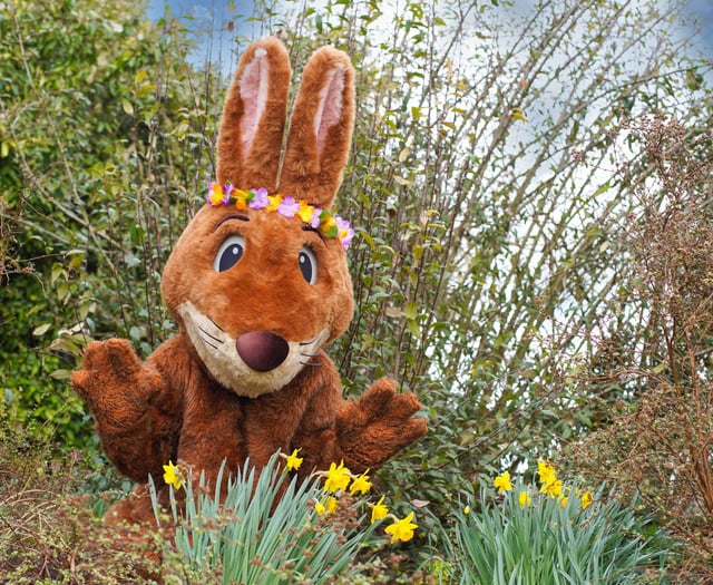 Easter Bunny is giving a seasonal feel to Marwell Zoo